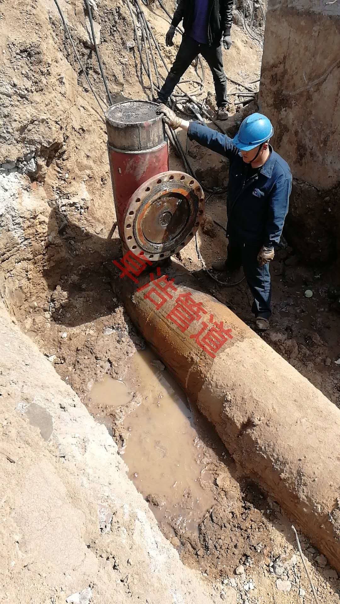 62368536273587942.jpg